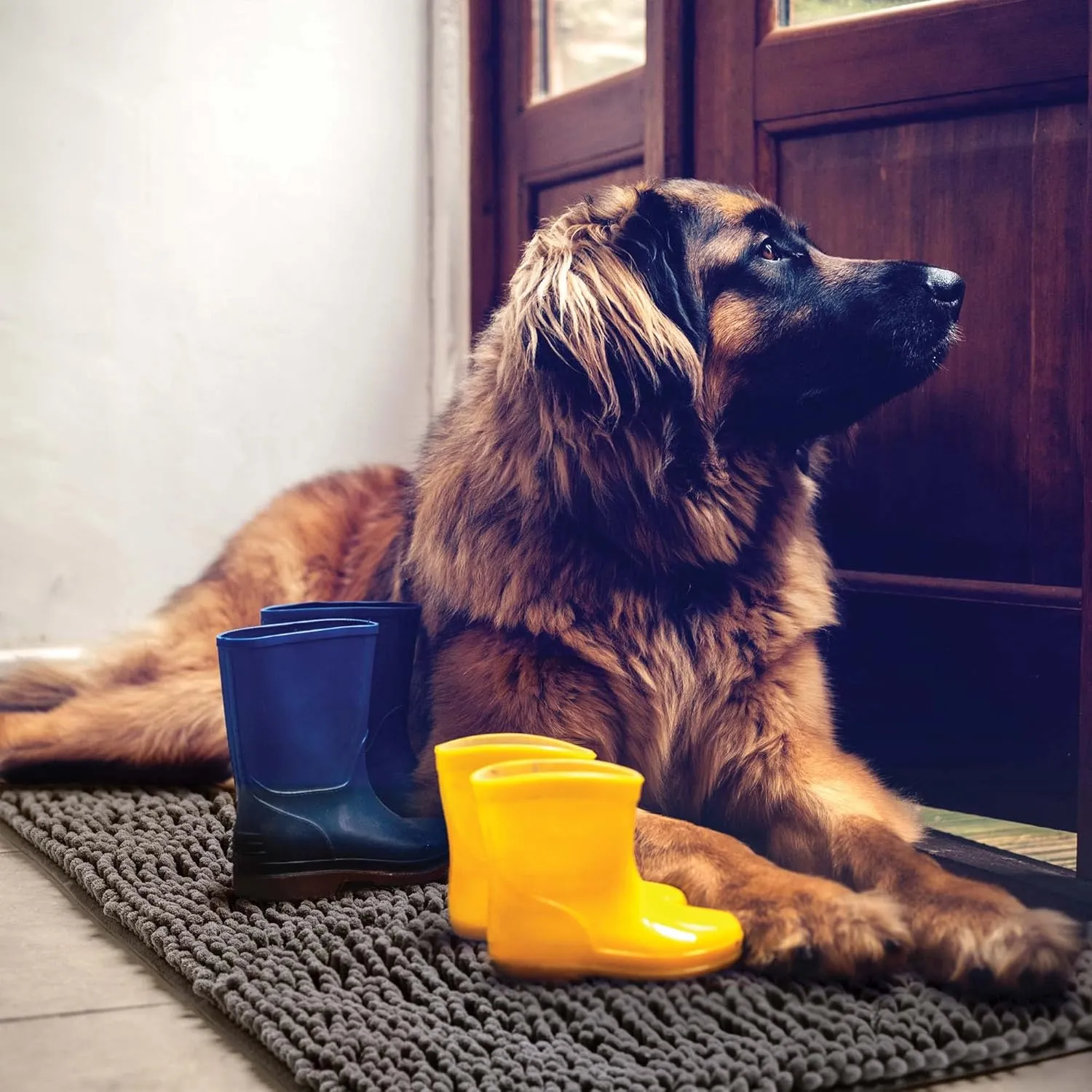 DogBuddy Dog Door Mat, Super Absorbent Microfiber Doormat, Washable Mat for Muddy Paws, Waterproof Pet Rug, Non Slip Rugs for Entryway, Dirt Trapper for Wet Shoes and Paws (XL, Shadow)