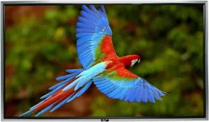 Elite Screens Silver Frame Fixed Frame Projection Screen, 16:9 Aspect Ratio - 120in. (Power Gain)