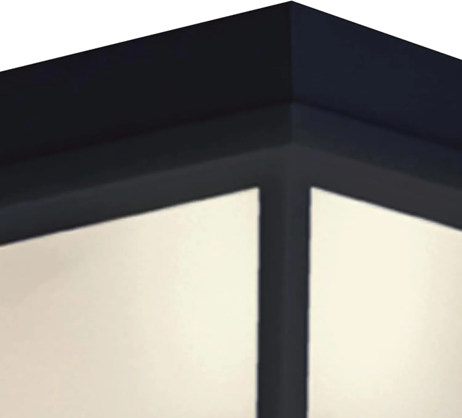 Elk Home Outdoor Flush Mount Ceiling Light – 9.5" Wide 2-Light Black Fixture with Frosted Glass, Damp Rated, Dimmable, Sloped Ceiling Compatible – Thomas Lighting