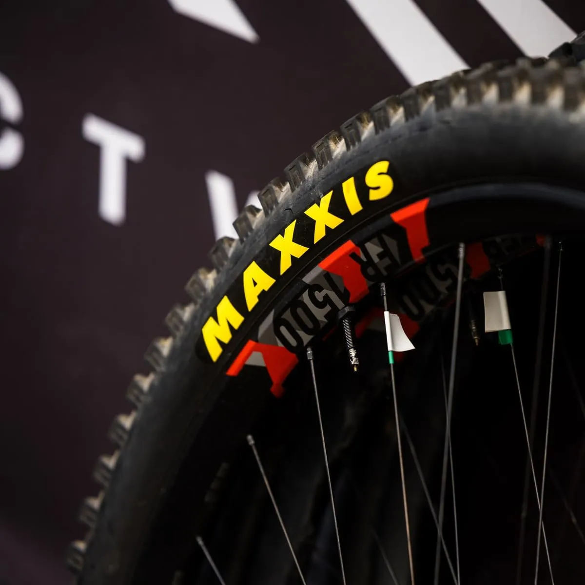 Maxxis Minion SS Folding Dual Compound Exo/tr Tyre