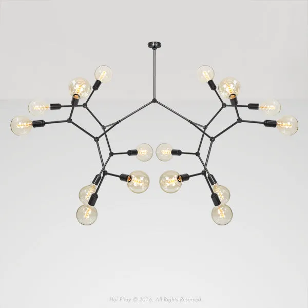 Molecule 16