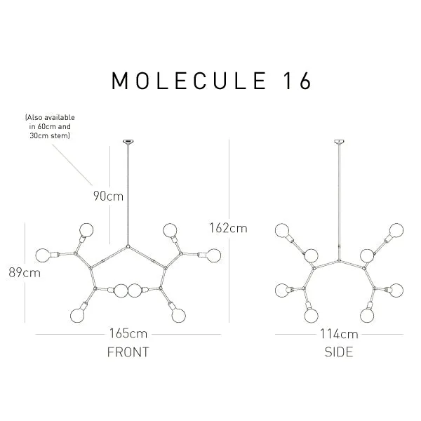Molecule 16