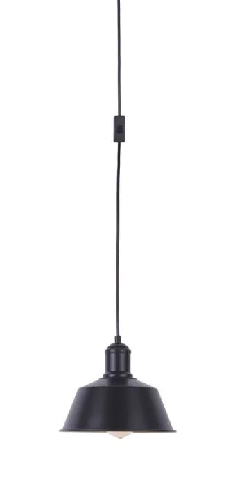 One Light Pendant