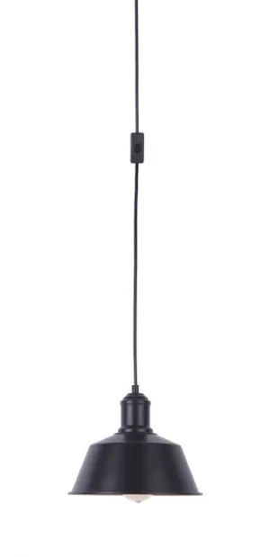 One Light Pendant