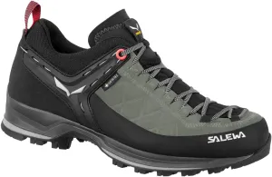 SALEWA Men's Leisure and Hiking Sneaker, 9 AU