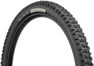 Teravail Warwick Tire - 29 x 2.5, Tubeless, Folding, Black, Light and Supple, Fast Compound